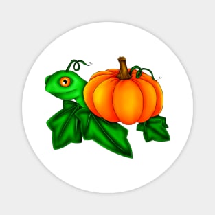 Pumpkin turtle Magnet